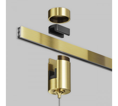 Коннектор с тросовым подвесом для магнитного шинопровода Maytoni Technical Tau Flarity TRA154SW-1BS Коннектор с тросовым подвесом для магнитного шинопровода Maytoni Technical Tau Flarity TRA154SW-1BS