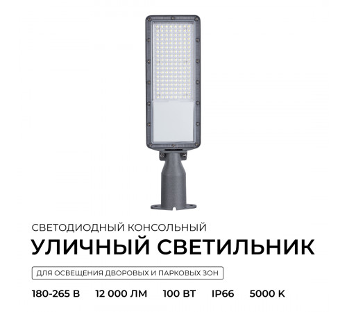 Уличный консольный светильник Apeyron 29-15