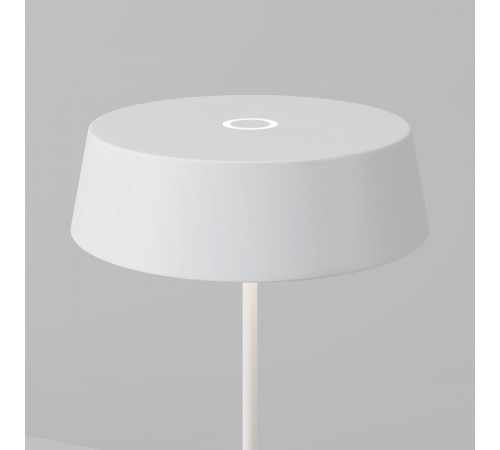 Уличный переносной аккумуляторный светильник Maytoni Porto O540TL-L2WCCT