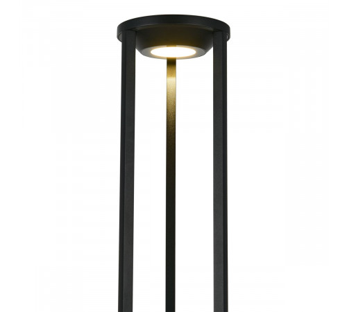 Ландшафтный светильник ST Luce Glorr SL9535.415.01