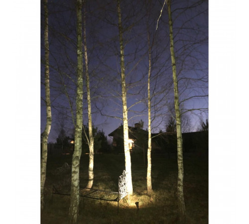 Ландшафтный светильник Covali FL-33005