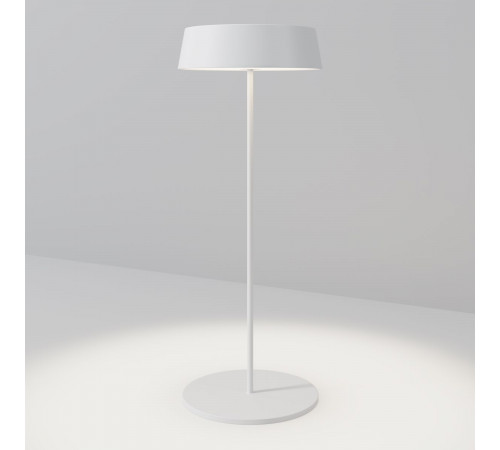 Уличный переносной аккумуляторный светильник Maytoni Porto O540TL-L2WCCT
