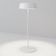 Уличный переносной аккумуляторный светильник Maytoni Porto O540TL-L2WCCT