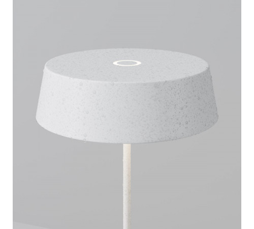 Уличный переносной аккумуляторный светильник Maytoni Porto O540TL-L2WCCT