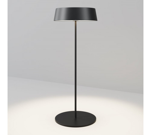 Уличный переносной аккумуляторный светильник Maytoni Porto O540TL-L2BCCT