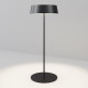 Уличный переносной аккумуляторный светильник Maytoni Porto O540TL-L2BCCT