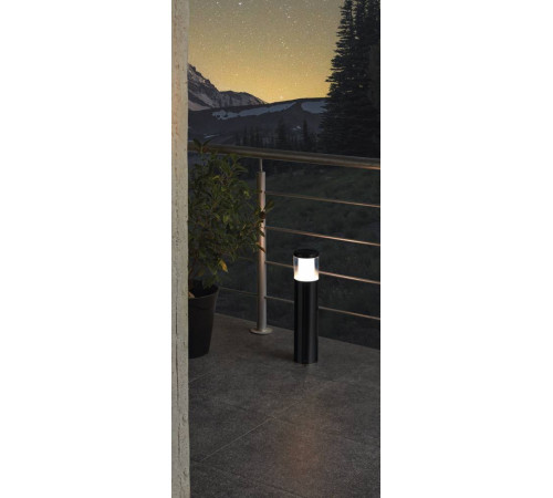 Уличный светильник Eglo Basalgo-z 900258