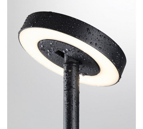 Ландшафтный светильник Odeon Light Nature Disc 7189/6GL