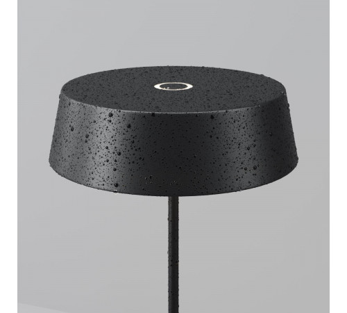 Уличный переносной аккумуляторный светильник Maytoni Porto O540TL-L2BCCT