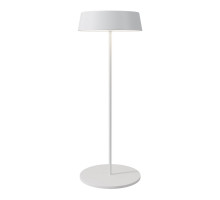 Уличный переносной аккумуляторный светильник Maytoni Porto O540TL-L2WCCT