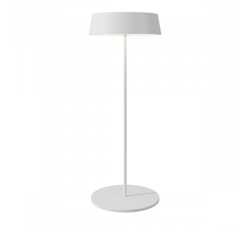 Уличный переносной аккумуляторный светильник Maytoni Porto O540TL-L2WCCT