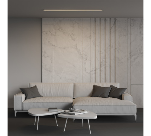 Линейный светильник Maytoni Technical LL311005