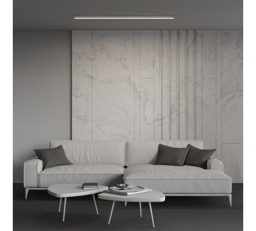 Линейный светильник Maytoni Technical LL311006