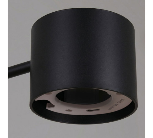 Люстра на штанге Reluce 47206-0.3-06BK