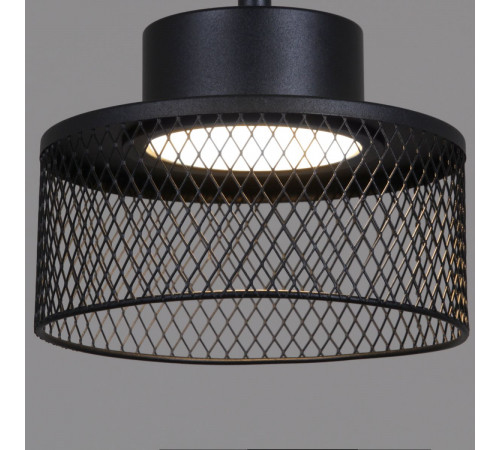 Люстра на штанге Reluce 68010-0.3-08 BK