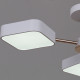 Люстра на штанге Reluce 03360-0.3-05 WH+FGD