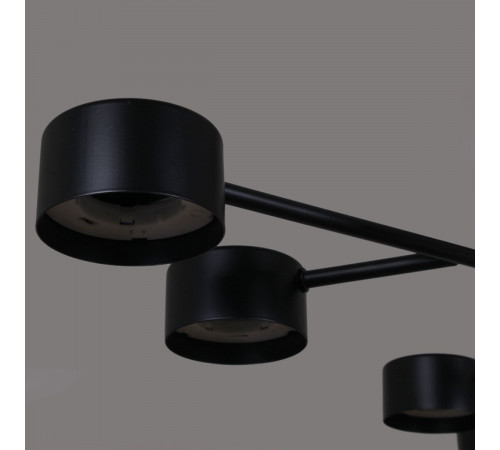 Люстра на штанге Reluce 03726-0.3-09 BK GX53