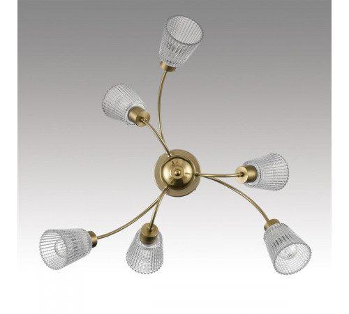 Люстра на штанге Lumion Comfi Imana 8154/6C Люстра на штанге Lumion Comfi Imana 8154/6C