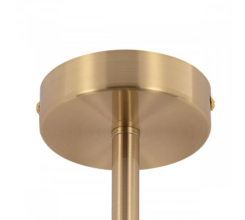 Люстра на штанге Citilux Tendy CL244171