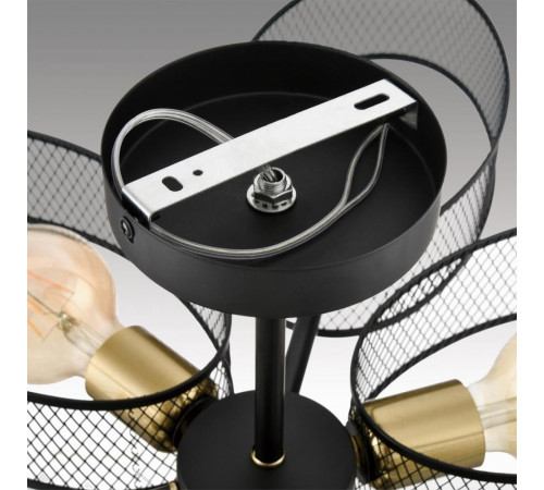 Люстра на штанге Lumion Comfi Vivana 8153/6C