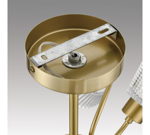 Люстра на штанге Lumion Comfi Imana 8154/6C Люстра на штанге Lumion Comfi Imana 8154/6C