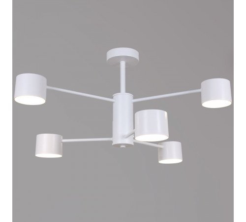 Люстра на штанге Reluce 47206-0.3-06WT