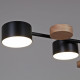 Люстра на штанге Reluce 03758-0.3-10 BK+WOOD GX53