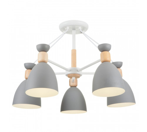 Потолочная люстра Freya Delia FR5033CL-05W