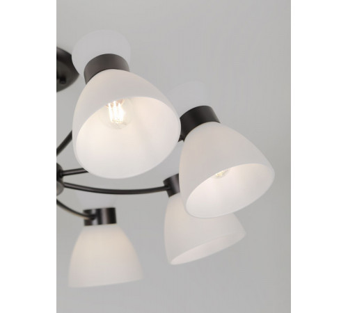 Люстра на штанге Rivoli Aemilia 9185-308 Б0069950