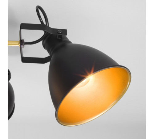 Люстра на штанге Eurosvet 70112/8 черный