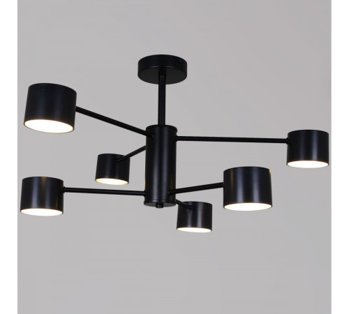 Люстра на штанге Reluce 47206-0.3-06BK