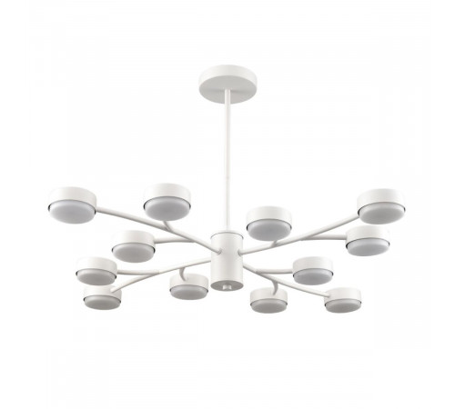 Люстра на штанге Lumion Comfi Torina 8265/12