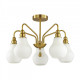 Люстра на штанге Lumion Eleonora 4562/5C