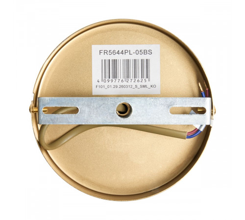 Люстра на штанге Freya Supernova FR5644PL-05BS