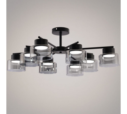 Люстра на штанге Reluce 47010-0.3-08 BK