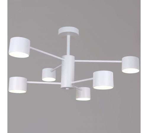 Люстра на штанге Reluce 47206-0.3-06WT