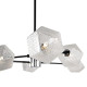 Люстра на штанге Freya Floristic FR5328CL-06B