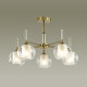 Потолочная люстра Lumion Hazel 4432/5C