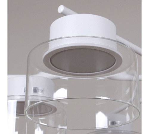 Люстра на штанге Reluce 48010-0.3-06 WT