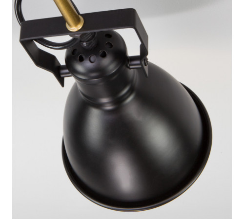 Люстра на штанге Eurosvet 70112/8 черный