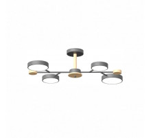Люстра на штанге LED4U L3213-670 GR