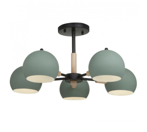 Потолочная люстра Freya Trisha FR5032CL-05B