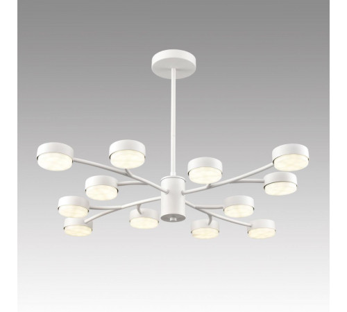 Люстра на штанге Lumion Comfi Torina 8265/12