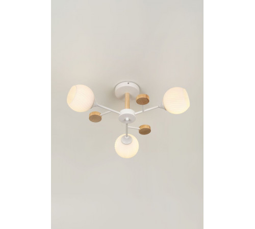 Люстра на штанге Rivoli Chiara 9180-303