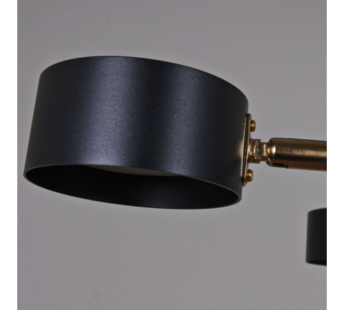 Люстра на штанге Reluce 06660-0.3-08 BK+COP GX53