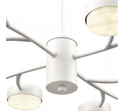 Люстра на штанге Lumion Comfi Torina 8265/12