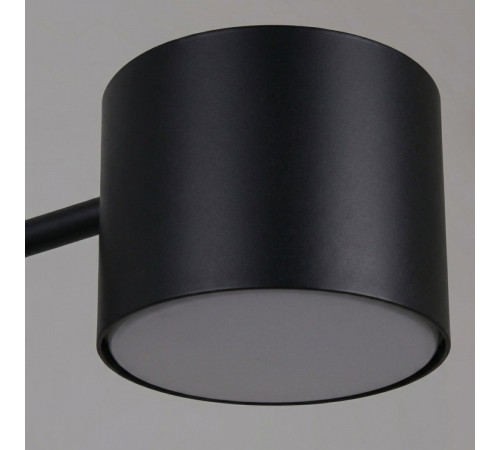 Люстра на штанге Reluce 47206-0.3-06BK