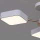 Люстра на штанге Reluce 03360-0.3-05 WH+FGD