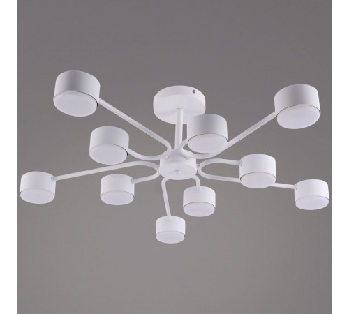 Люстра на штанге Reluce 03708-0.3-10 WT GX53