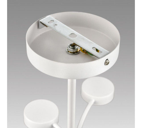 Люстра на штанге Lumion Comfi Torina 8265/12